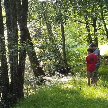 Feriehus La Vielle Forge Perigord Vert - Piscine Et Riviere *